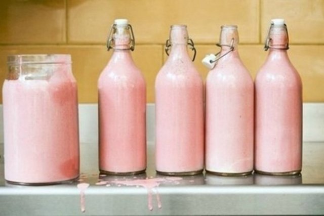Розовый кумыс из молока зебры планирует производить в Астане