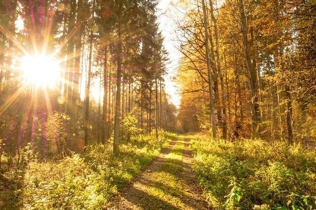 Бабье лето в Челябинске будет два дня