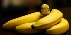 Жители Екатеринбурга поборются за 25 килограммов бананов