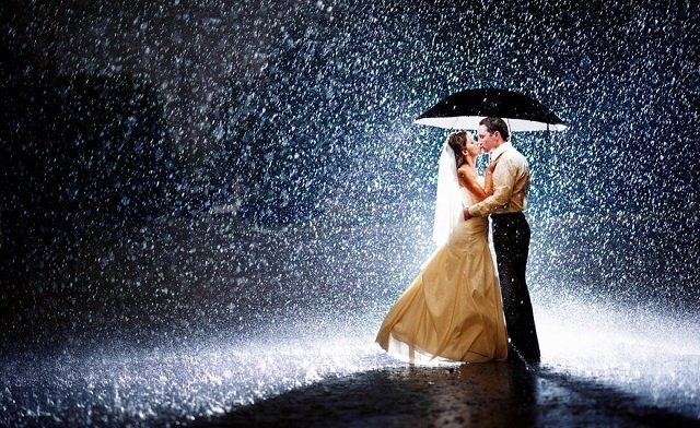 В августе зафиксировано самое большое количество браков. Статистика