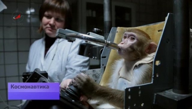 Ученые Российской академии наук готовят обезьян к полету на Марс
