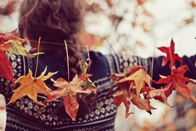 Гид по выходным