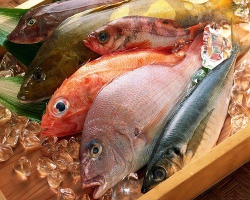 На Кубани станет больше рыбных мест